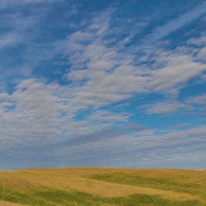 Large sky over wheat field in Eastern Washington.